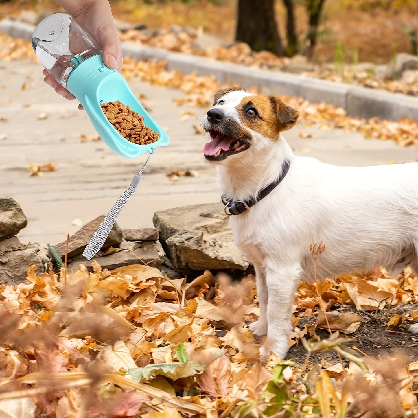 Portable Dog Water Bottle & Feeder